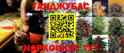 a pvp Малгобек