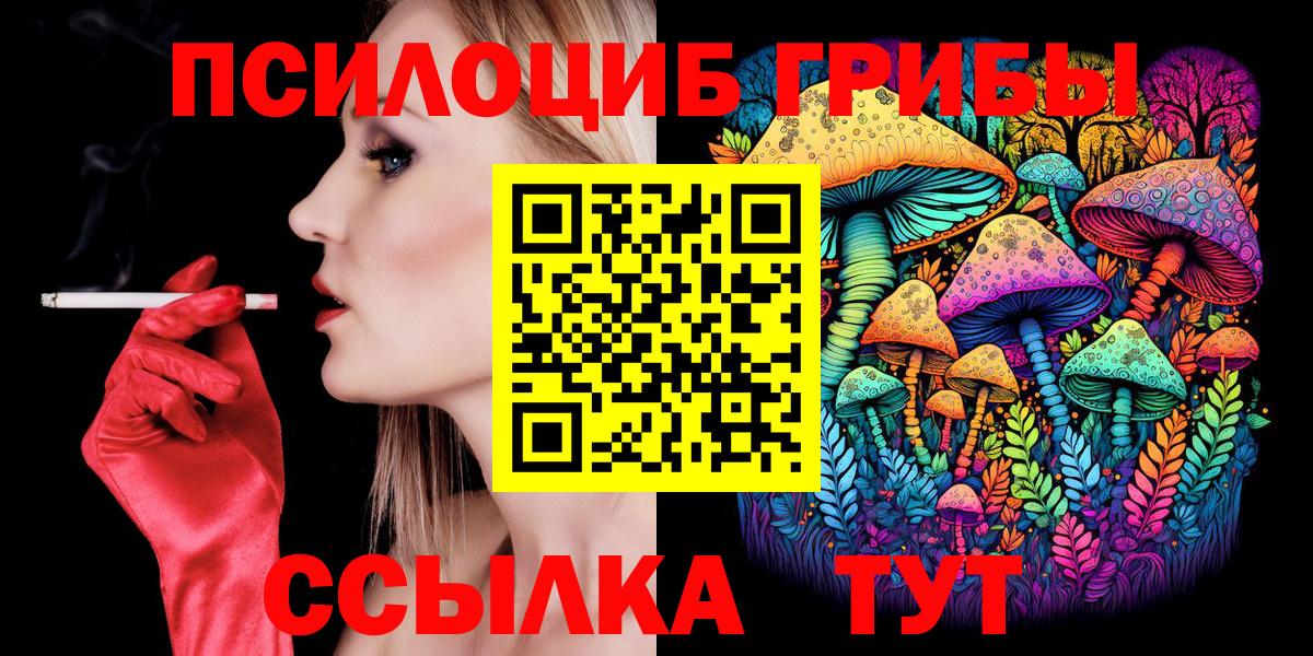 Галлюциногенные грибы Psilocybine cubensis Холмск